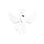 BLACK/GREY B.I.R.D HOODIE